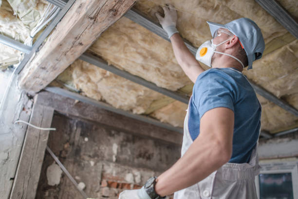 Best Residential Insulation in Huntley, IL